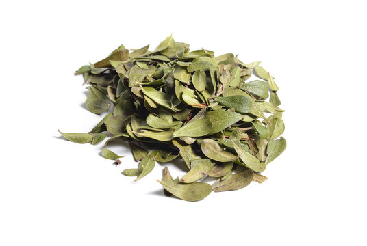 Dried medicinal herbs raw materials isolated on white. Leaves of Arctostaphylos