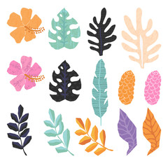 Collection of  tropical jungle leaves - 207390806