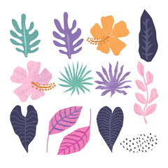 Vector collection of  tropical jungle leaves in trendy geometric style. - 207390873