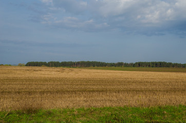 Spring field with untreated soil. Peyzazh.Selskaya unattractive to local fields