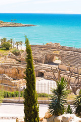 RAGONA,SPAIN – MAY 1, 2017: View of the ancient Roman amphitheater, cypress in the foreground. Copy space. Vertical.