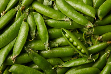 full frame shot of ripe pea pods for background