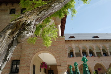 Obraz premium tree and Mogosoaia palace