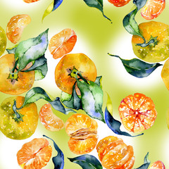 Southern, tasty, aromatic, fitrant mandarins and honey, rustic, wild bees Watercolor. illustration