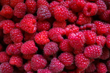 Fresh and sweet raspberries background