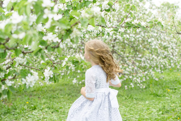 portrait of a beautiful girl in a blooming apple orchard