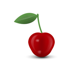 Realistic cherry isolated on a twhite background. Vector illustration.