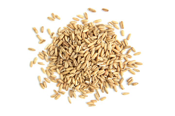 Oat grain isolated on white background.