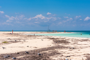 CAYO LARGO, CUBA - MAY 10, 2017: Sandy beach Playa Paradise. Copy space for text.