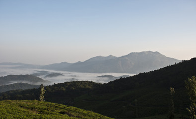 A mist covered landscape with coffee estates in the foreground depicting the beauty of kerala
