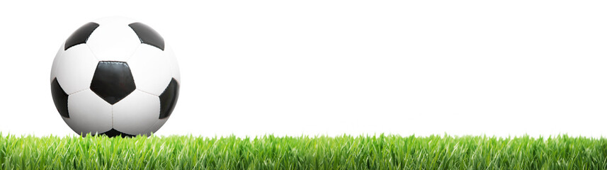 Obraz premium Ball auf dem Fussballplatz