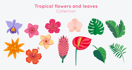 Obraz premium Tropical flowers and leaves collection - vector illustration design template. 