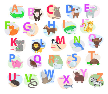 Children ABC with Cute Animals Cartoon Flat Vector
