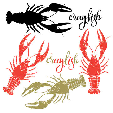 Crayfish.Silhouette.Hand drawn vector illustration, isolated  elements for design on white background.