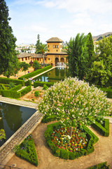 Gardens and palace of Partal, Alhambra in Granada, Andalusia, Spain