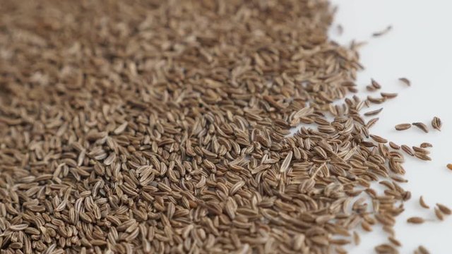 Tiny seed of caraway panning video