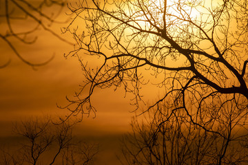 A beautiful sunset in magee marsh wildlife area on a winter evening