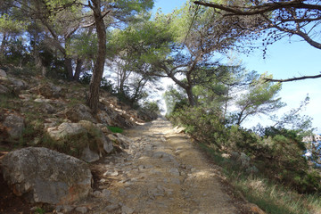 chemin de terre, paysage, voyage