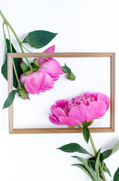 Pink peony flower in frame Flat lay Nature concept on white background with copy space for greeting message creative layout. Mother's Day and spring background concept.