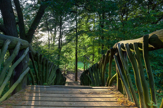 Charming wooden footbridge in forest