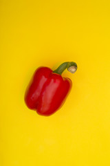 Red Sweet pepper on a yellow background