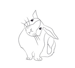 rabbit scratching ear lines, vector