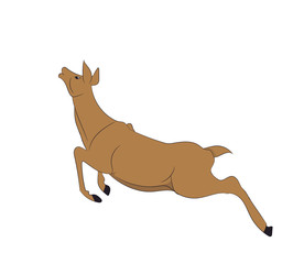 deer runs, vector