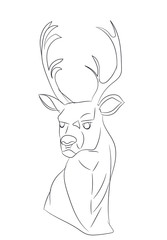 deer portrait lines, vector