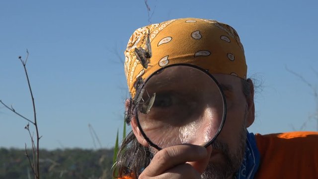 Man with Beard examines with Magnifying Glass. Consider mosquitoes caught in web