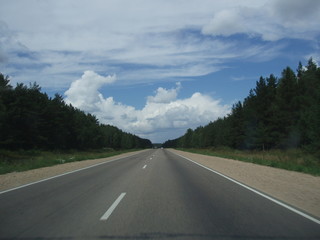 car point of view, cloud-sky, day, diminishing perspective, direction, dividing line, marking, Nature, no people, non-urban scene, outdoors, Plant, Road, road marking, Sign, sky, symbol, the way forwa