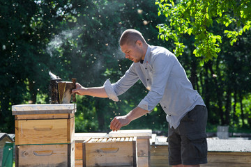Beekeeper at work by the wooden bee hives. Young farmer in his farm.