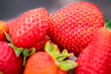 Macro shot of ripe organic sweet strawberries