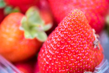Macro shot of ripe organic sweet strawberries
