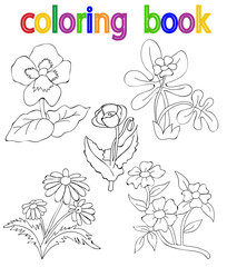 book coloring flowers, set