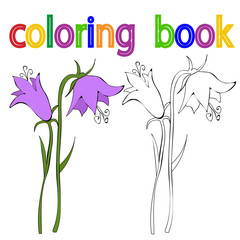 isolated, book coloring flowers