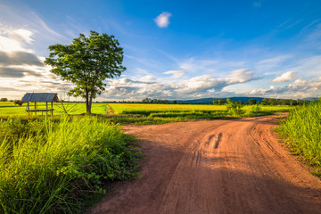 Road in the Field