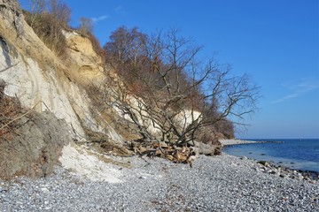 Felsabbruch an den Kreidefelsen - Ostseeküste Rügen