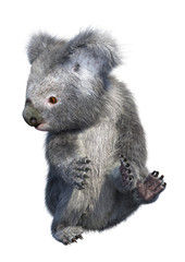 3D Rendering Koala Bear on White