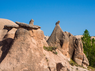 Fototapeta na wymiar Volcanic rock formations with monk cave homes in Pasabag valley central Turkey.