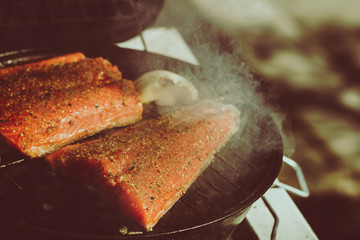 Salmon filets on top of a bbq 