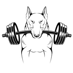 Black and white image of bull terrier with a barbell