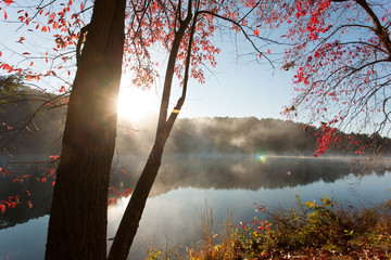 Colorful fall trees on the edge of a lake at sunrise.  Rose Lake, Hocking Hills State Park, OH, USA.