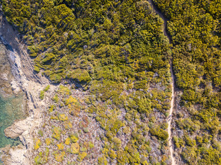 Vista aerea del sentiero dei doganieri, vegetazione e macchia Mediterranea, Corsica, Francia. Mare e vegetazione visti dall’alto, rocce. Sentier du Douanier. Capo Corso