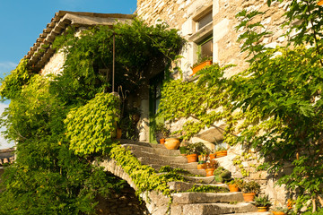 Fototapeta na wymiar Old overgrown house at small typical town in Provence, France
