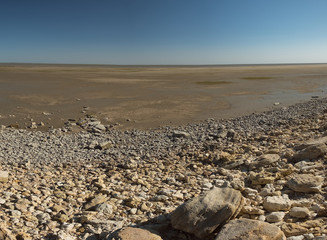 a large stone on the shore of a dry sea in summer on a sunny day