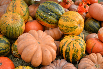 Autumn decorations ideas. Decorations for autumn. a lot of pumpkins. 