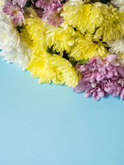 Bouquet of multicolored chrysanthemums on a blue background Place for text