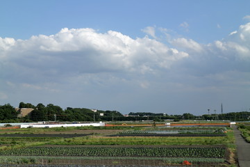 日本の農業地区