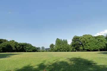 Fototapeta na wymiar 公園の風景