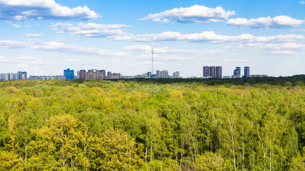 panoramic view of green forest near city in summer